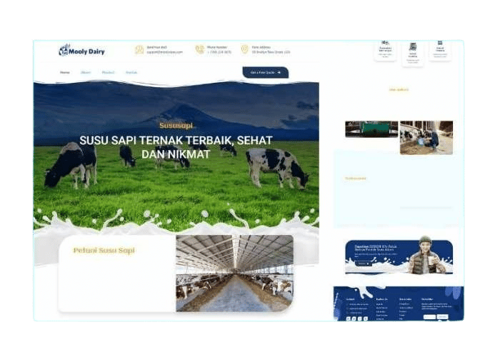 Ekspor Susu Sapi berkualitas